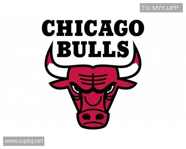 2009年NBA季后赛热火与公牛精彩对决录像回放全程回顾与分析 2009年NBA季后赛热火与公牛精彩对决录像回放全程回顾与分析